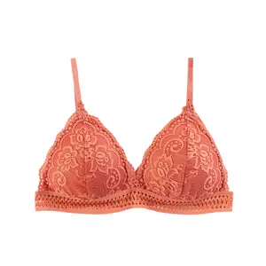 Factory wholesale Hot French Triangle Cup sexy lace ladies bra Comfortable breathable lady brassiere for Women's Bra