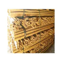 WY T-001 थोक सस्ती कीमत के साथ प्राकृतिक tonkin बांस canes की आपूर्ति चीन