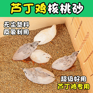 Arena de Nuez para Hámster, Libre de Polvo, Origen Shandong, Color Marrón, Forma Irregular, Arena para Mascotas - Product Image 3