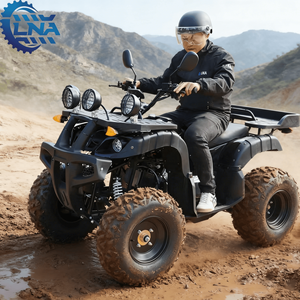 Quads <span class=keywords><strong>chinois</strong></span> tout-terrain LNA <span class=keywords><strong>250cc</strong></span> à transmission automatique pour usage commercial - Product Image 1