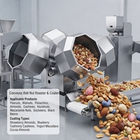 Équipement de torréfaction continue de noix en acier inoxydable avec convoyeur pour le traitement des amandes, des noix de cajou et des pistaches