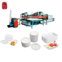 Ps Foam Food Tray Boîte en polystyrène Plaque thermoplastique jetable Exportation vers la Jordanie