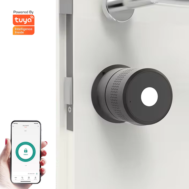 Smart Door Lock Cylinder With Ttlock