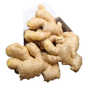 Cheap price New Season Fresh Ginger dry ginger hot sales