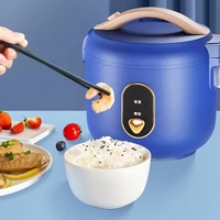 Mini cuiseur à riz bleu avec poignée et cuiseur vapeur, pot antiadhésif, maintien au chaud à un bouton, vente en gros usine OEM