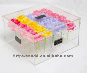 Vitrines pour jouets et poupées, présentoirs en acrylique transparent, supports d'exposition pour objets de collection, solutions de rangement anti-poussière - Product Image 2