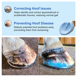 Smilefind CE Vpsベースゴム金型パテシリコーンヘビーボディホーフモリング歯科材料供給歯科用シリコーン印象 - Product Image 4