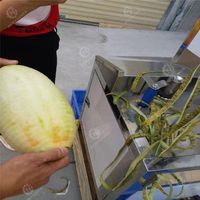 Automatische Mango Ananas Winter Meloen Pompoen Meloen Kokosnoot Wassen Fruit Groente Kokosnoot Snijmachine Schiller Schilmachine