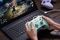 Controlador con cable 8Bitdo Ultimate C para Windows PC, Android, Steam Deck y Raspberry Pi Lilac Purple Field Green