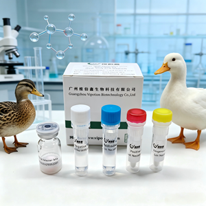 Kit <span class=keywords><strong>de</strong></span> PCR <span class=keywords><strong>en</strong></span> Tiempo Real para <span class=keywords><strong>el</strong></span> Virus <span class=keywords><strong>de</strong></span> la Peste Aviar, Tiras Reactivas Veterinarias Liofilizadas para Enteritis Viral Aviar, 48 Pruebas/Kit, Garantía <span class=keywords><strong>de</strong></span> 1 Año - Product Image 1
