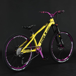 Bicicleta de Montaña Freestyle de 26 Pulgadas y 24 Pulgadas con Geometría Agresiva para Saltos - Product Image 4