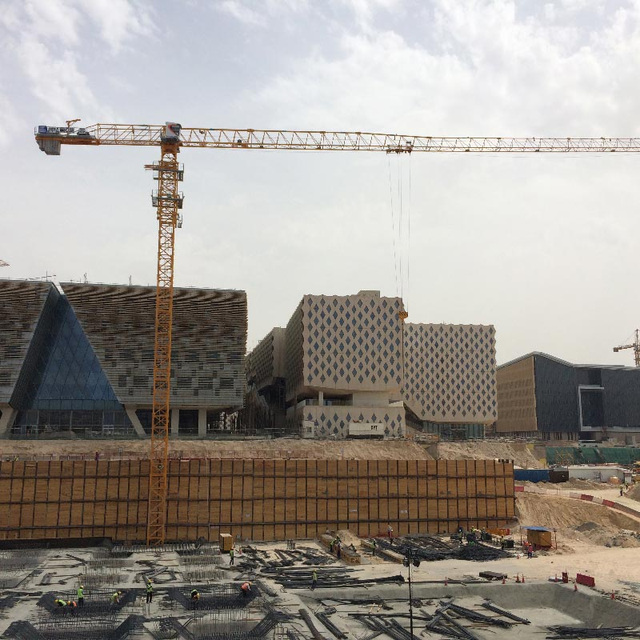 8 Tons Load Capacity 60m Jib Length Topless Tower Crane Zoom-lion 6015-8 Topless Tower Crane in UAE