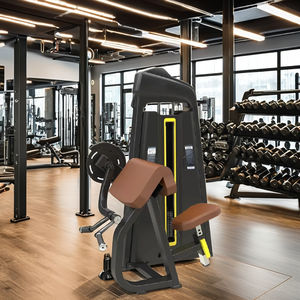 Máquina <span class=keywords><strong>para</strong></span> Rizar el Cabello |   Máquina de Ejercicios <span class=keywords><strong>para</strong></span> Bíceps, Dorsales y Pecho de Grado Comercial |   Pila de Pesas de Acero de 160 kg |   <span class=keywords><strong>Precio</strong></span> Directo de Fábrica Gimnasio - Product Image 6