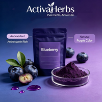 Ekstrak Bubuk Blueberry Alami Larut Air 25% Antosianidin 36% Antosianin