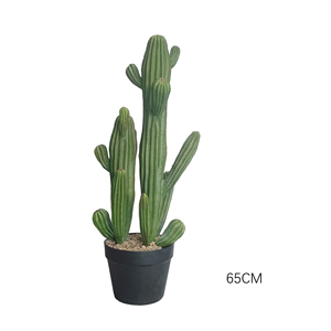 Plante de cactus artificielle en plastique, décoration d'intérieur, cactus <span class=keywords><strong>pour</strong></span> décoration intérieure et extérieure, ornement de jardin, plantes artificielles, plantes factices - Product Image 3