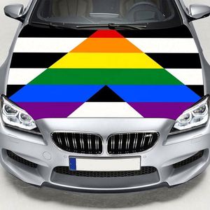 Wholesale Promotion Large Custom Pride <b>Flag</b> Outdoor Display for Car Hood Engine Cover Personal Logo Rainbow Banner - Product Image 2