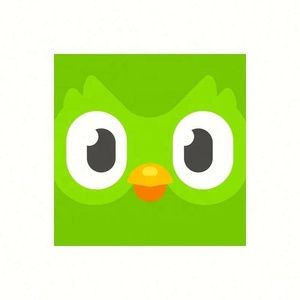 บัญชี Duolingo Pro ระดับพรีเมียม 1 ปี ใช้ได้ทั่วโลก เปิดใช้งานบัญชีของคุณเอง - Product Image 4