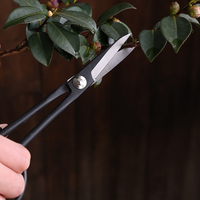 Schaar Snoeiers Kwekerij Plant Schaar Fruit Plukken Schaar Bonsai Training Cutter Fabrikant Handgereedschap Snoeier Zwart
