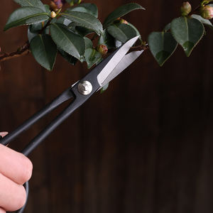Tijeras para podar plantas <span class=keywords><strong>de</strong></span> vivero, tijeras para recoger frutas, bonsái, cortador <span class=keywords><strong>de</strong></span> entrenamiento, fabricante, herramientas manuales, podadora negra - Product Image 5