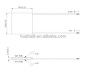 TEC1-03114 termoelettrico Peltier Cooler modulo ad alta potenza di raffreddamento rapido per il CCD Camera di raffreddamento strumento PCR e Hotel Minibar - Product Image 2