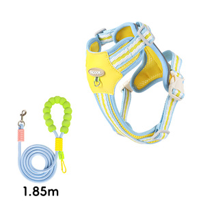 Set Pettorina e Guinzaglio per Cani Senza Strappi, in Rete Morbida, Colore Fluorescente, per Animali Domestici S <span class=keywords><strong>M</strong></span> L XL - Product Image 4