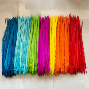 <span class=keywords><strong>Plumas</strong></span> de Faisán Anillado Blanqueadas y Teñidas al por Mayor, <span class=keywords><strong>Plumas</strong></span> de Cola para Decoración de Fiestas de Carnaval - Product Image 2
