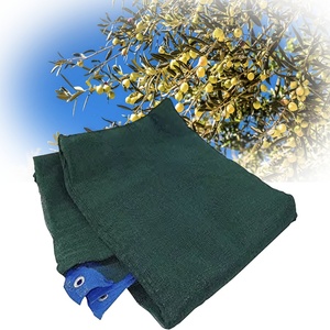 Wholesale Orchard Olive Walnut Chestnut Plum Hazelnut <strong>Picking</strong> <strong>Fruits</strong> Harvest Collecting Plastic <strong>Netting</strong> for Agriculture - Product Image 2