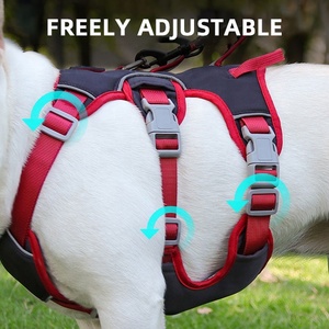 Factory Personalized Custom Logo Designers No Pull Cat Pet <strong>Lead</strong> <strong>Dog</strong> Harness Leash <strong>Collar</strong> Set <strong>for</strong> <strong>Dog</strong> - Product Image 6