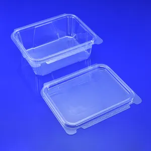 Factory Clear Disposable Plastic Pet Hinged Container Tamper Evident Food Container