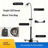 Lampu Periksa LED Berdiri dengan Ketinggian yang Dapat Disesuaikan (1.4M-1.8M) untuk Estetika, Kedokteran Gigi, Ginekologi, dan Penggunaan di Rumah