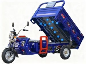 <span class=keywords><strong>Moto</strong></span> électrique robuste à <span class=keywords><strong>3</strong></span> <span class=keywords><strong>roues</strong></span> antidérapante pour routes humides - Product Image 4