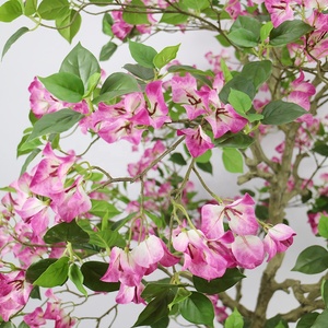 Giả 160cm cao nghệ thuật bougainvillea cây lụa bougainvillea cây tốt cho residencial và thương mại trang trí - Product Image 3