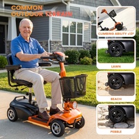 Véhicule de voyage électrique pour personnes âgées et handicapées, moteur 250W, force de montée 12 °   Capacité de charge 120 kg, scooter électrique pliable à 4 roues