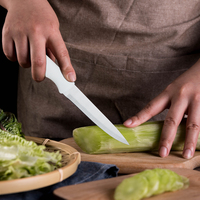 Hatchen Sharp Metal Chefsmes Snijmes voor het snijden van vlees, fruit en groenten met PP-handvat messenset met houder