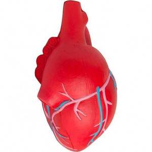 Venta Especial: Corazones Anatómicos con Venas, Juguetes Antiestrés, Pelota Antiestrés - Product Image 2