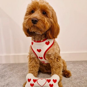 Grosir rompi harnes anjing Set Mode mewah kuat karet dada kucing jejak hewan peliharaan <span class=keywords><strong>Harness</strong></span> wol - Product Image 4