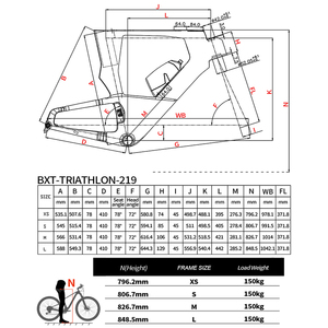 Bicicleta de Triatlón BXT Triathlon-219 de Fibra de Carbono con Cambio Electrónico, Frenos de Disco, Depósito de Agua Integrado y Manillar Aerodinámico <span class=keywords><strong>TT</strong></span> - Product Image 2