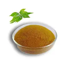 Poudre d'extrait de thé vert, polyphénols de thé 30%-98%, <span class=keywords><strong>soluble</strong></span> dans l'eau, poudre naturelle d'EGCG pour l'alimentation et les cosmétiques, approvisionnement en vrac pour les usines - Product Image 3
