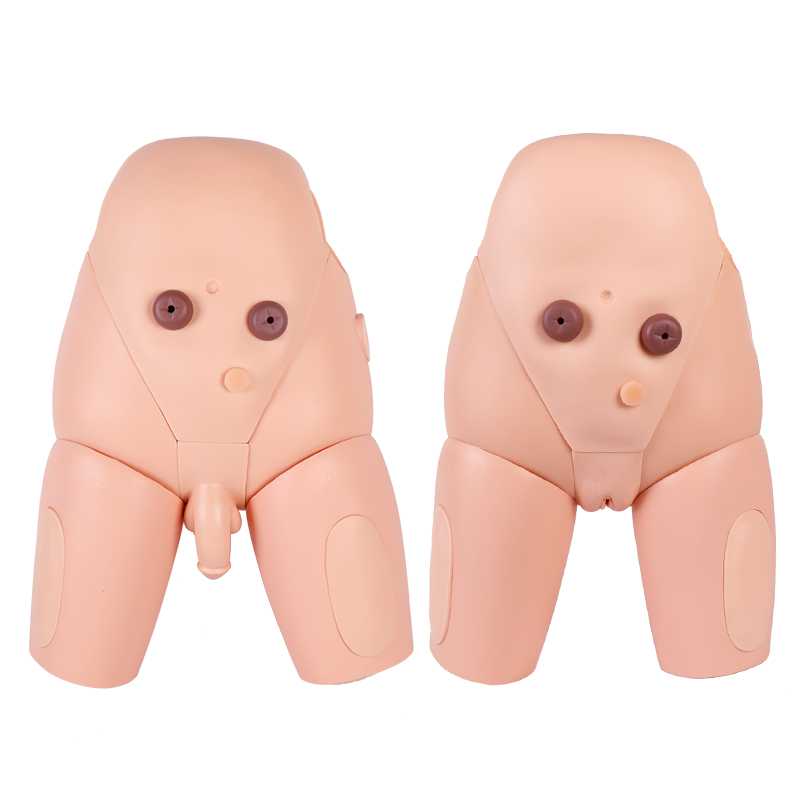 Улучшенная Высококачественная модель катетеризации мужского мочевого гениталии и уретры для ухода за кожей