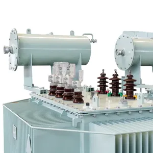 Transformateur immergé dans l'huile S20 10 kV 1600 kVA (Contrôle de température intelligent, Usage intensif, Usines) Fournisseur certifié State Grid - Hol - Product Image 1