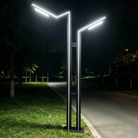 Lampe de rue à LED de style moderne de haute qualité, 3 m, 50 W, double tête, bande lumineuse bleue latérale, IP65, étanche, lumière de cour