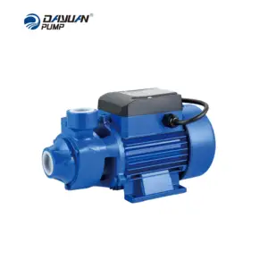 DAYUAN High Pressure 0.16hp 0.125kw 1Inch 220V 50HZ Low Pressure Peripheral Electric Water Pump Surface Clean Water Pump
