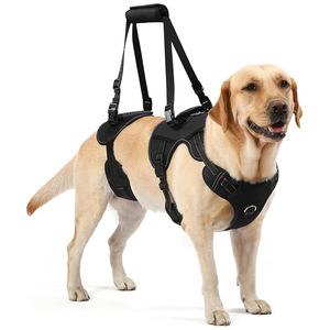<span class=keywords><strong>Harnais</strong></span> de levage pour <span class=keywords><strong>chien</strong></span> <span class=keywords><strong>en</strong></span> tissu Oxford avec support pour les pattes, pour chiens de petite taille, âgés, blessés ou handicapés, anti-traction, transporteur pour animaux de compagnie, simple, vente <span class=keywords><strong>en</strong></span> gros, promotion - Product Image 1