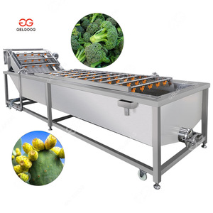 Machine industrielle de nettoyage et de séchage des figues de barbarie, ligne de traitement de lavage du brocoli et du maïs - Product Image 1