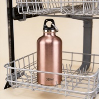 Bouteille d'eau légère en acier inoxydable, gourde métallique réutilisable de 350 ml pour le camping et la pêche