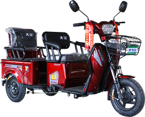 Tricycle for Disabled Adults Open Body 500W Motor <b>2</b> <b>Passengers</b> 850x800mm Box - Product Image 2