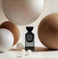 Flacon de parfum en verre personnalisé, couleur personnalisée, vide, givré, 30 ml, 50 ml, 100 ml, vaporisateur de brume, design unique, avec bouchon magnétique