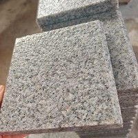 Pavés en granit naturel modernes, directement de l'usine, durables, garantie 5 ans, surface sablée, taille personnalisée