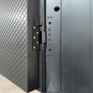 Porte pivotante en fer pour entrée de villa, portes extérieures de 8 pieds, portes battantes en acier modernes, double porte de sécurité - Product Image 3
