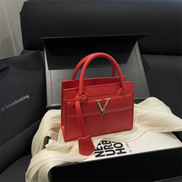 Sacs à main en métal tendance pour femmes, sacs à bandoulière pour dames avec sangle amovible, sac à main pour femmes